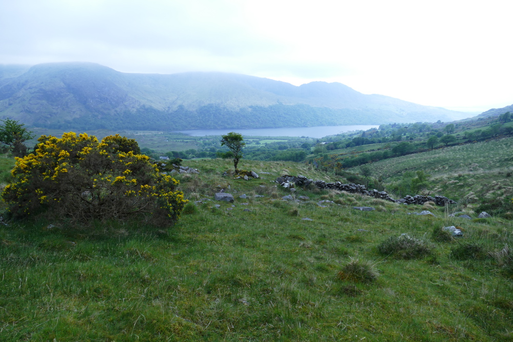 Irland – Beara Way – Von Lauragh nach Kenmare