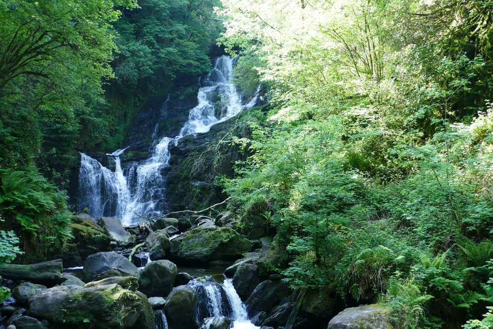 Irland – Killarney-Nationalpark