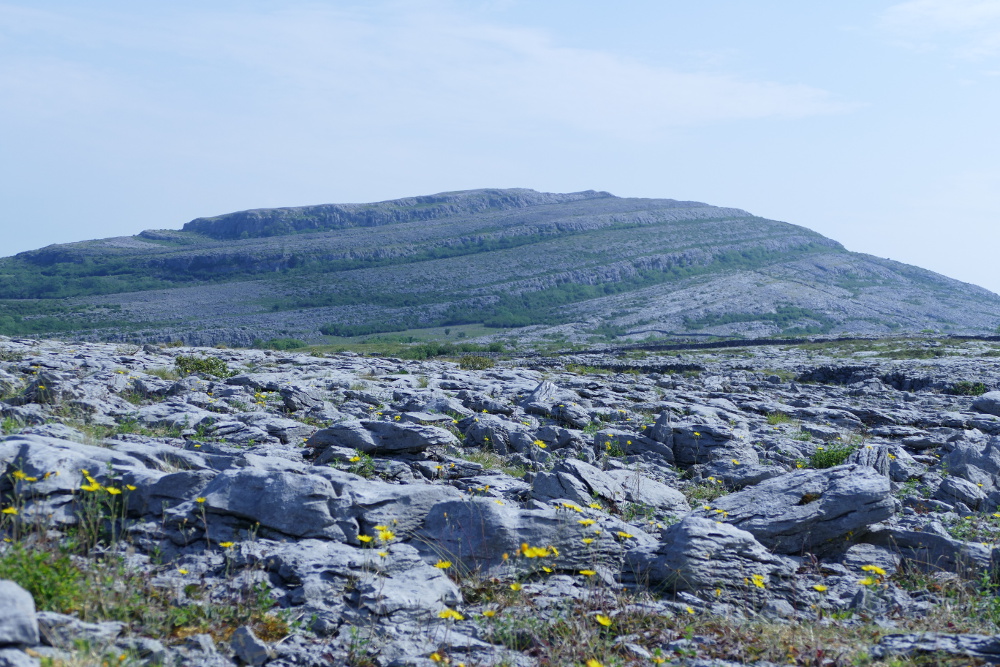 Irland – The Burren