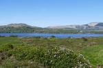Irland – Beara Way – Bere Island