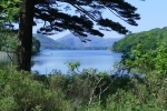 Irland – Killarney-Nationalpark