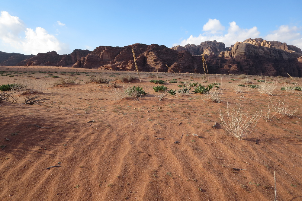 Jordanien – Wadi Rum