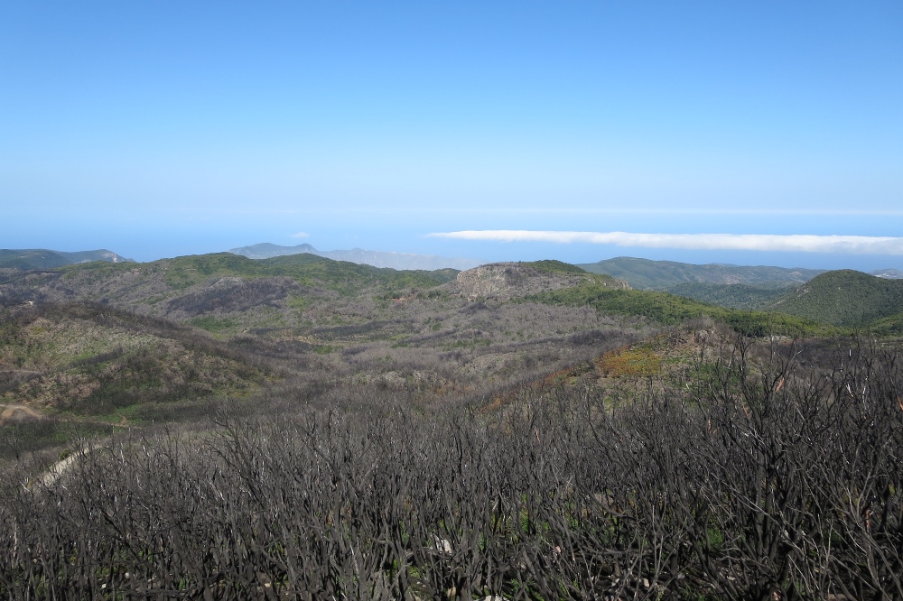 La Gomera: Blick vom Garajonay