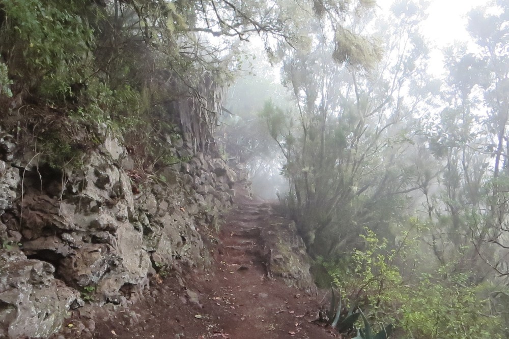 La Gomera: Im Nebelwald bei El Cedro