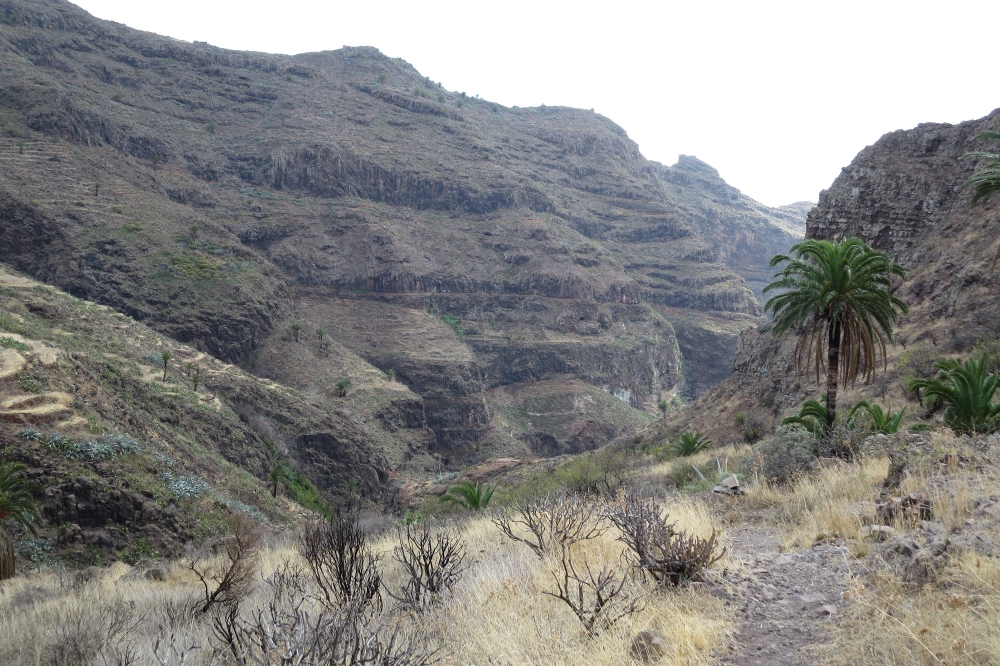 La Gomera: Barranco de Guarimiar
