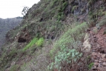 La Gomera: Steil geht's bergan
