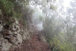 La Gomera: Im Nebelwald bei El Cedro