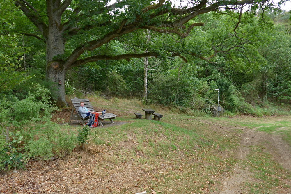 Lahn-Dill-Bergland-Pfad #02 - Von Mittenaar bis Bad Endbach