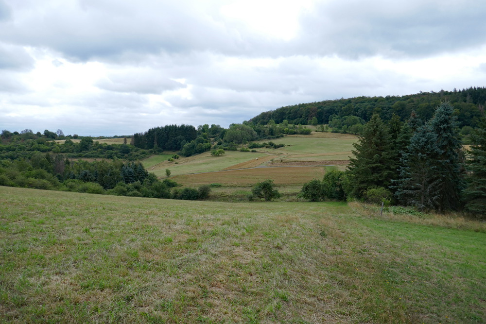 Lahn-Dill-Bergland-Pfad #02 - Von Mittenaar bis Bad Endbach