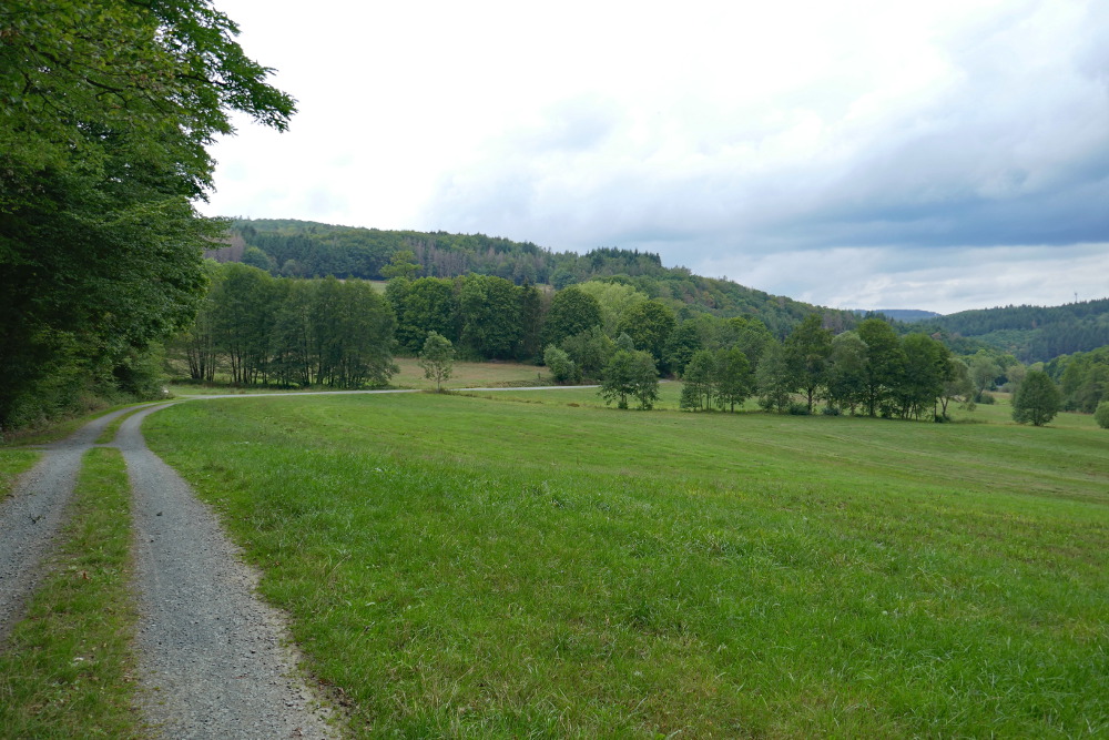 Lahn-Dill-Bergland-Pfad #03 – Von Bad Endbach bis Gladenbach