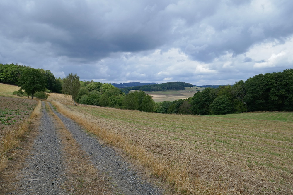 Lahn-Dill-Bergland-Pfad #03 – Von Bad Endbach bis Gladenbach