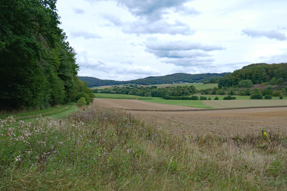 Lahn-Dill-Bergland-Pfad #04 - Von Gladenbach bis Caldern