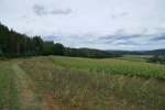 Lahn-Dill-Bergland-Pfad #04 - Von Gladenbach bis Caldern