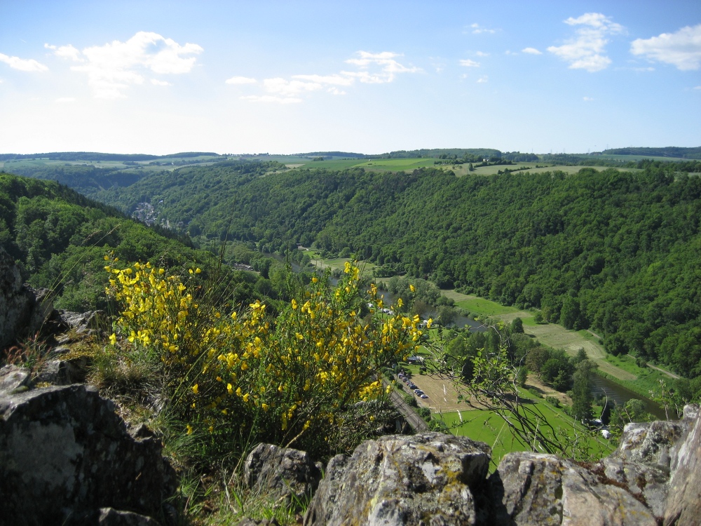 Die Lahn in Richtung Laurenburg