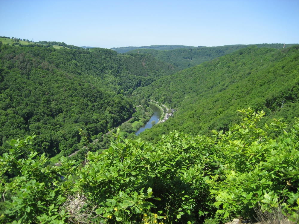 Blick vom Wolfslei