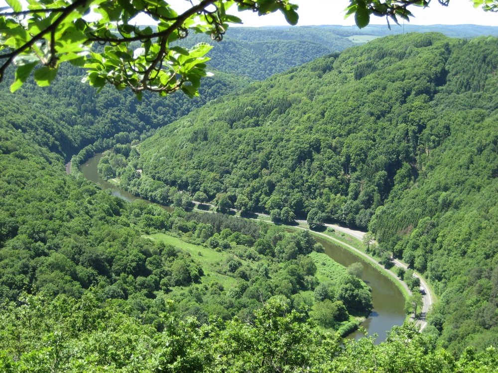 Aussichtspunkt Liebeslei