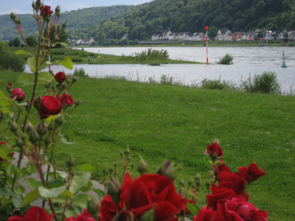 Am Ziel in Lahnstein
