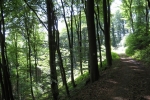 Sonniger Hangweg