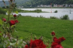 Am Ziel in Lahnstein