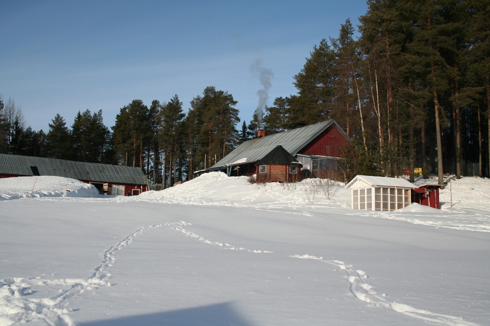 Lapplands Drag – Husky Expedition: Die Huskyfarm