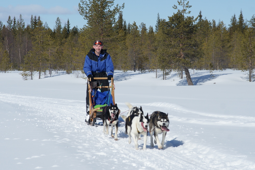 Lapplands Drag – Husky Expedition: Auf der Einführungstour