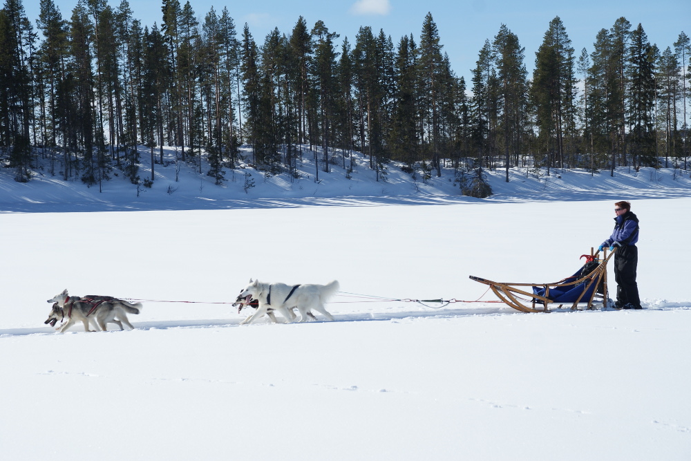 Lapplands Drag – Husky Expedition: Auf der Einführungstour