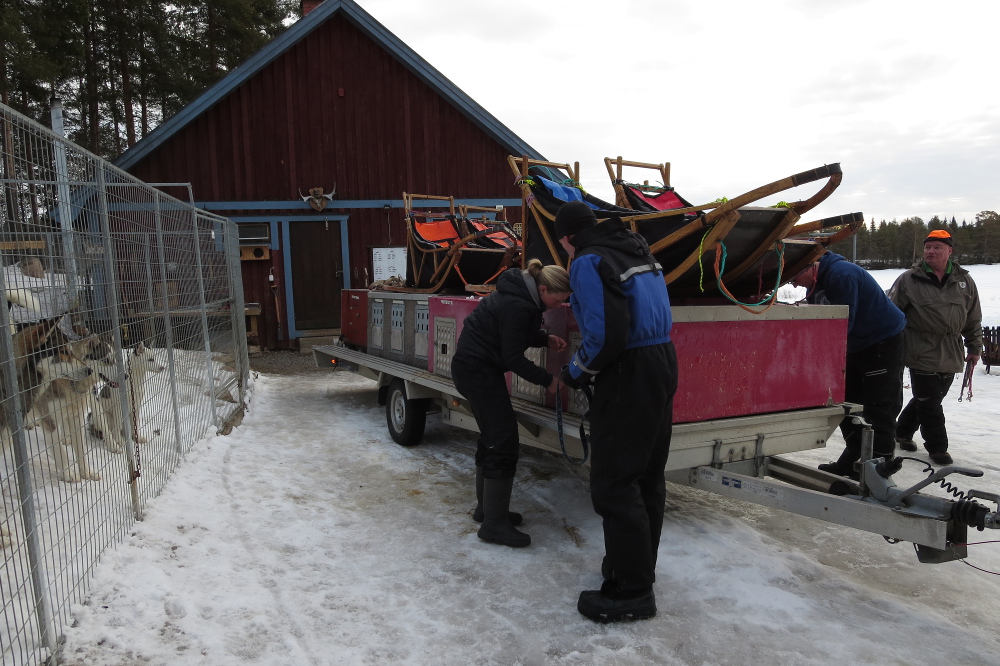 Lapplands Drag – Husky Expedition