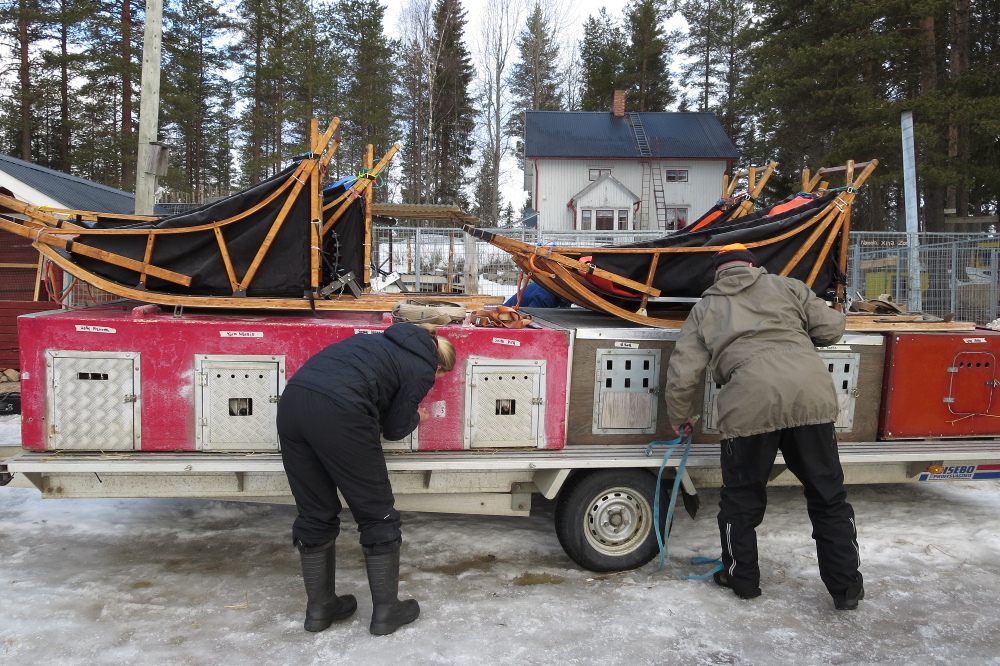 Lapplands Drag – Husky Expedition: Die Hunde werden verladen