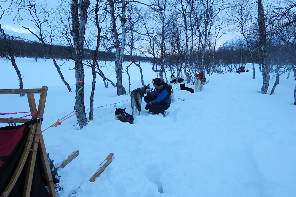 Lapplands Drag – Husky Expedition: Nachtlager an der Mankeforshütte