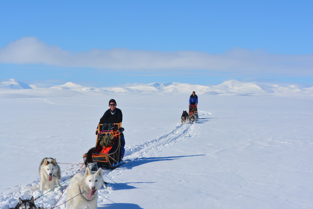 Lapplands Drag – Husky Expedition: Hochplateau im Vindelfjällen