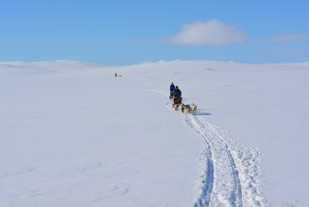 Lapplands Drag – Husky Expedition: Auf dem Hochplateau