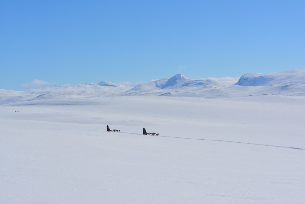Lapplands Drag – Husky Expedition: Auf dem Hochplateau