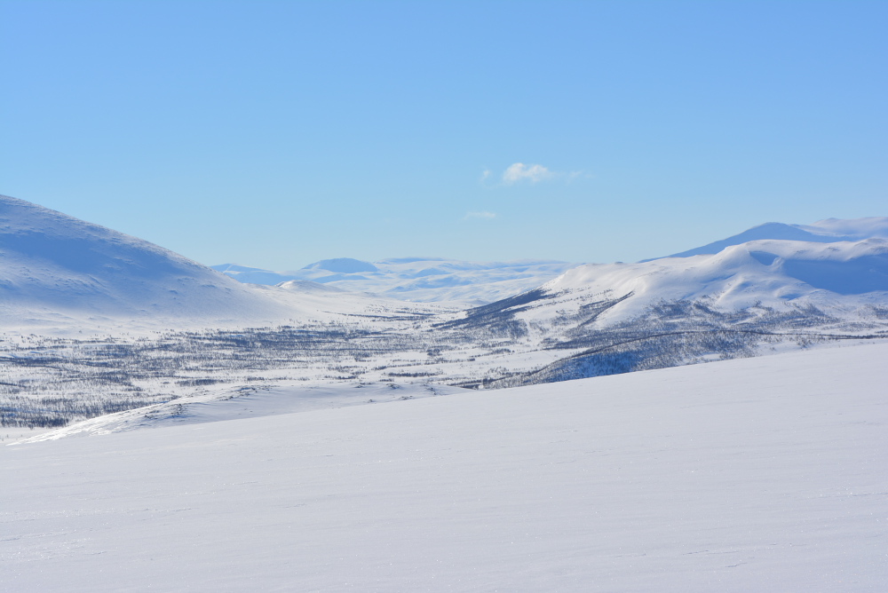 Lapplands Drag – Husky Expedition