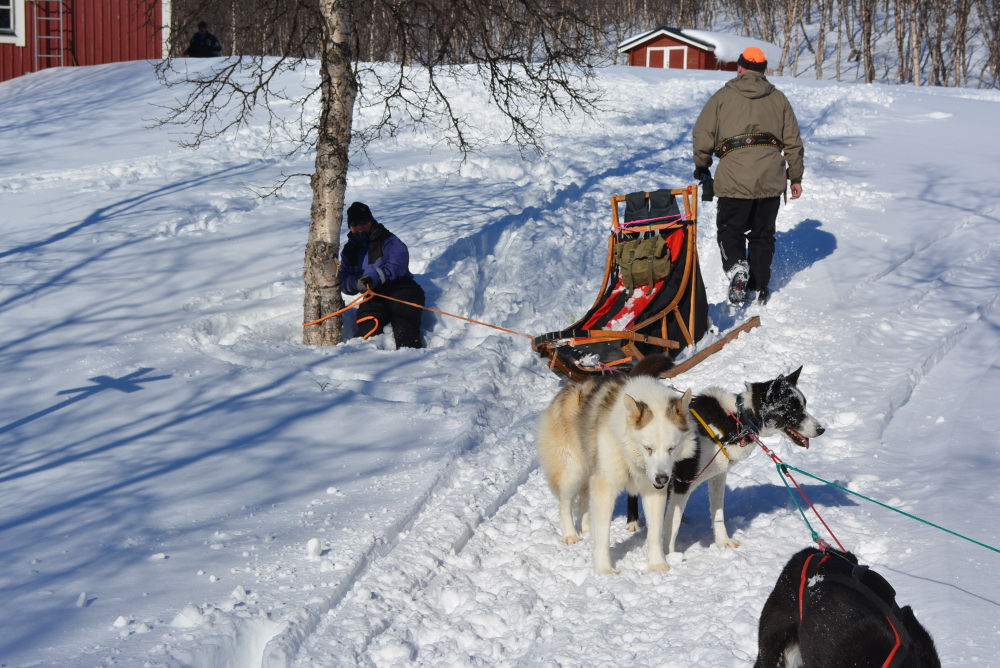 Lapplands Drag – Husky Expedition