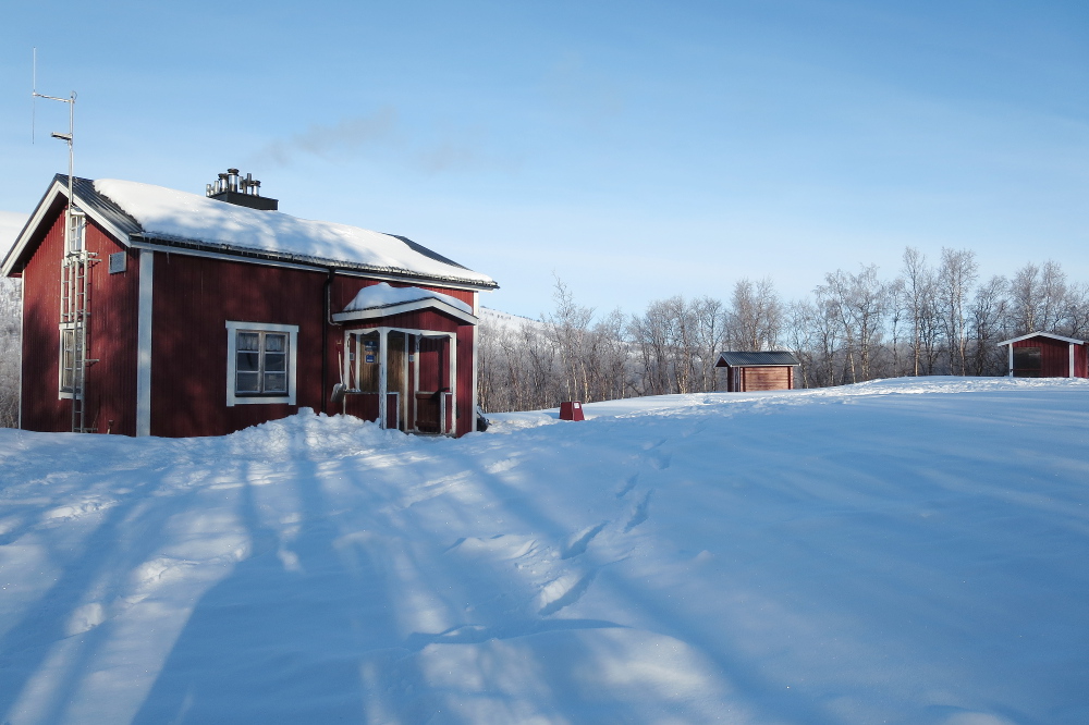 Lapplands Drag – Husky Expedition: Dalavardohütte