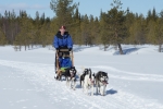 Lapplands Drag – Husky Expedition: Auf der Einführungstour