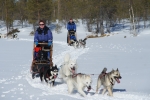 Lapplands Drag – Husky Expedition: Auf der Einführungstour