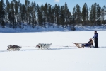 Lapplands Drag – Husky Expedition: Auf der Einführungstour