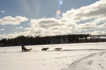 Lapplands Drag – Husky Expedition: Auf der Einführungstour