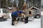Lapplands Drag – Husky Expedition: Die Hunde werden verladen