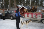 Lapplands Drag – Husky Expedition: Wo ist noch Platz?