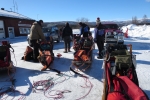 Lapplands Drag – Husky Expedition: Die Schlitten werden gepackt