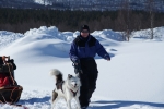 Lapplands Drag – Husky Expedition: Anspannen der Hunde