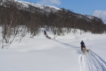 Lapplands Drag – Husky Expedition: Im Vindelfjällen