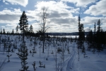 Lapplands Drag – Husky Expedition: Im Vindelfjällen