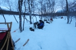 Lapplands Drag – Husky Expedition: Nachtlager an der Mankeforshütte