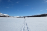 Lapplands Drag – Husky Expedition: Nur noch unsere Spur