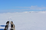 Lapplands Drag – Husky Expedition: Traumhafte Weite