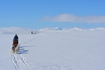 Lapplands Drag – Husky Expedition: Hochplateau im Vindelfjällen