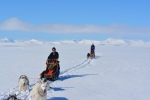 Lapplands Drag – Husky Expedition: Hochplateau im Vindelfjällen